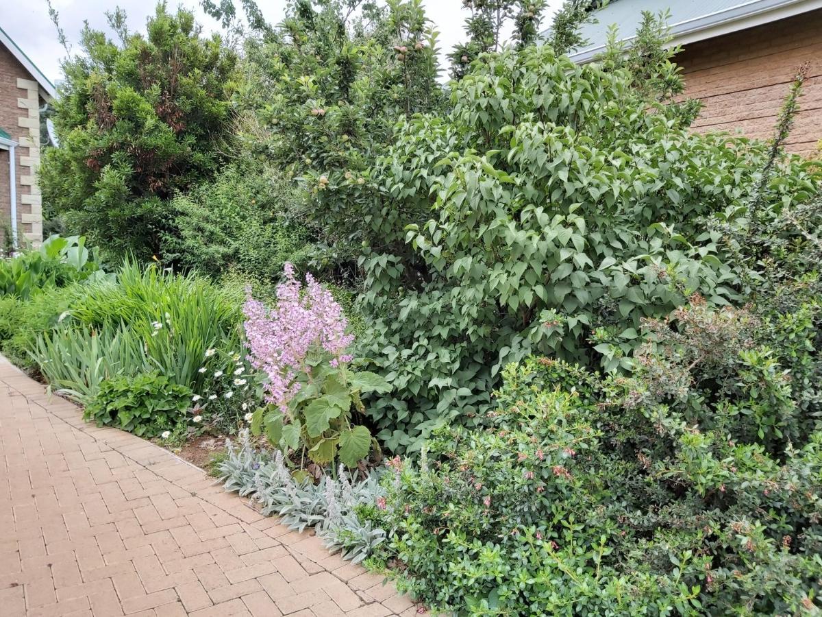 Clarens Mountain Sage Holiday House Exterior photo